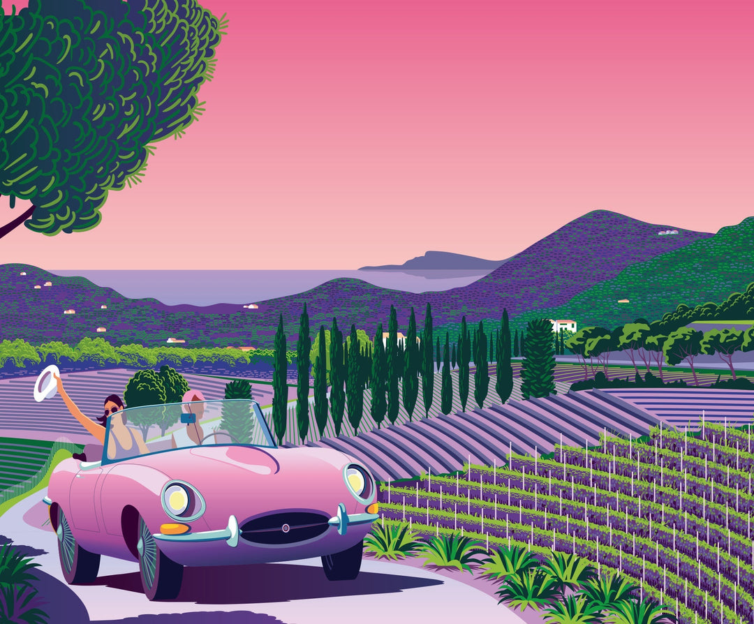 Les Vignes de Bormes-Les-Mimosas